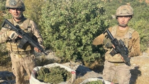 Diyarbakır'da 596 kilo esrar ele geçirildi ​