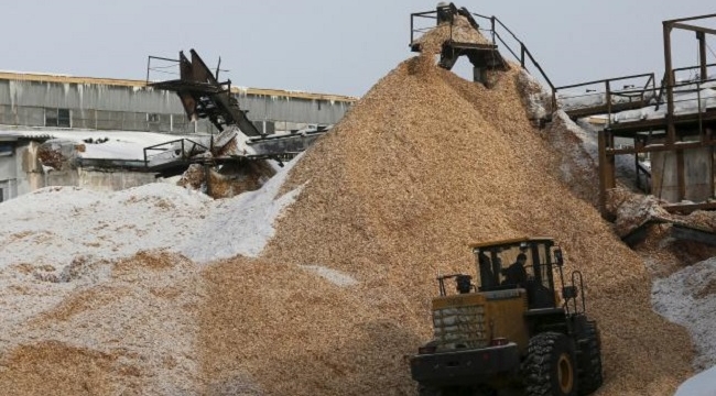 Fransa'da talaş kazanı satışları %120 arttı