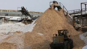 Fransa'da talaş kazanı satışları %120 arttı