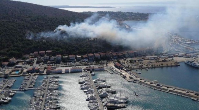 İzmir Çeşme'de orman yangını çıktı
