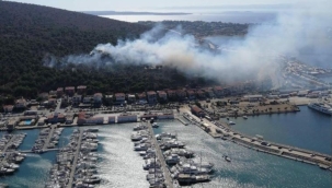 İzmir Çeşme'de orman yangını çıktı
