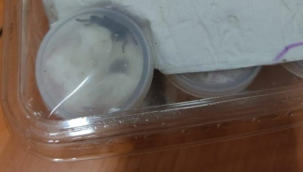 İzmir'de 26 tüp içinde tarantula ele geçirildi