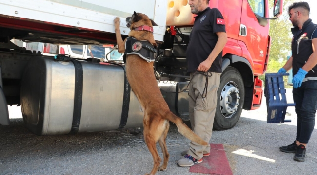 Kocaeli'de tır dorsesinde 88,3 kilo eroin yakalandı