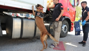 Kocaeli'de tır dorsesinde 88,3 kilo eroin yakalandı