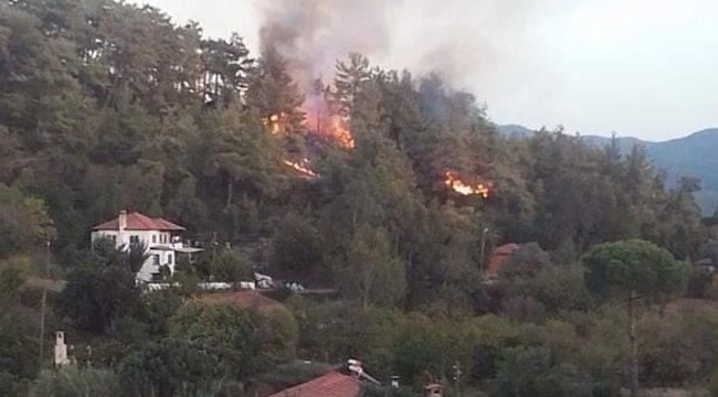 Muğla/Ula'daki yangında 1 kişi gözaltına alındı