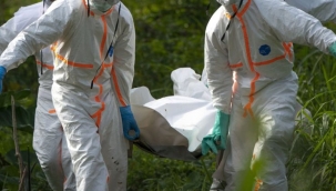 Nijerya'da kolera salgını: 149 ölü