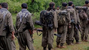 Ocak'tan bu yana 92 PKK'lı örgüt üyesi teslim oldu