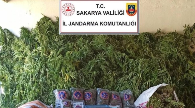 Sakarya'da 70 kilogram kubar esrar ele geçirildi