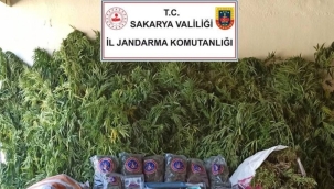 Sakarya'da 70 kilogram kubar esrar ele geçirildi