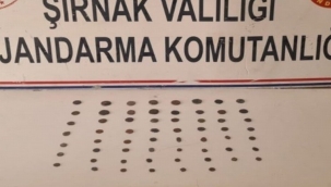 Şırnak'ta 65 parça tarihi obje ele geçirildi