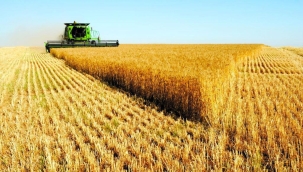 Tarım grubu ihracatı 8 ayda 21 milyar $'ı gördü