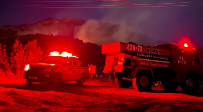 Tunceli'de ormanlık alanda yangın çıktı
