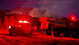 Tunceli'de ormanlık alanda yangın çıktı