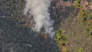 Adana'nın Saimbeyli ilçesinde orman yangını çıktı