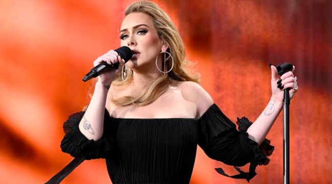 Adele: "İngiliz Edebiyatı eğitimi almak istiyorum"