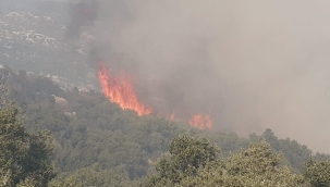 Antalya/Kaş'ta makilik alanda yangın