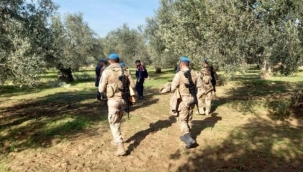 Balıkesir'de zeytin hırsızları için önlem alındı