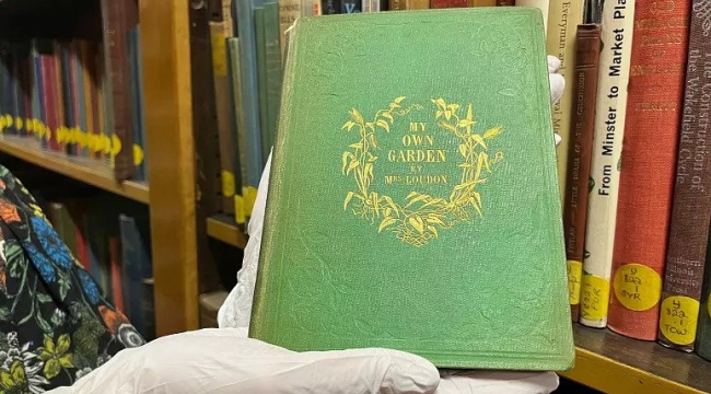 İngiltere'de kütüphanede zehirli bir kitap bulundu