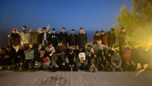 Kırklareli'nde 892 kaçak yakalandı