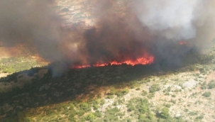 Muğla/Seydikemer'de orman yangını