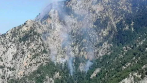 Osmaniye Düziçi'nde orman yangını