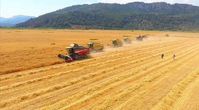 TÜİK'in iddiası: "Tarım - GFE Ağustos'ta yıllık %135 arttı"