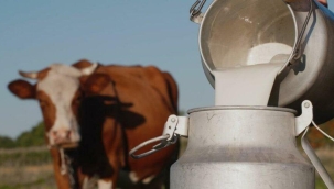 TÜSEDAD: "Çok ciddi derecede süt krizi var"