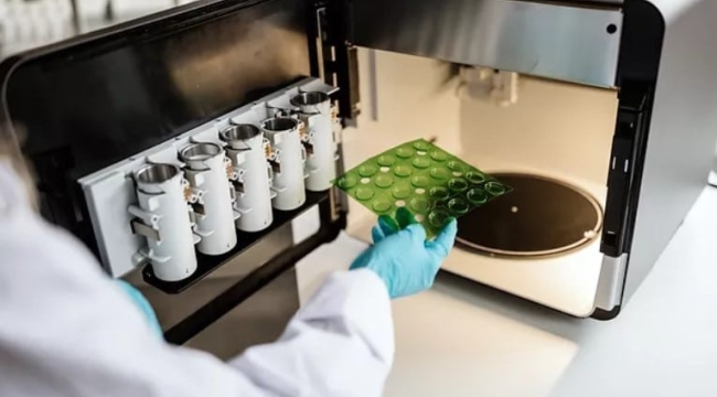 3 boyutlu yazıcı ile kişiye özel ilaç üretimi