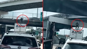 ABD'de TIR'da dans eden kişi köprüye çarpıp öldü