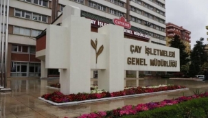 ÇAYKUR 2021 yılı dönemi 503,8 milyon ₺ zarar etti