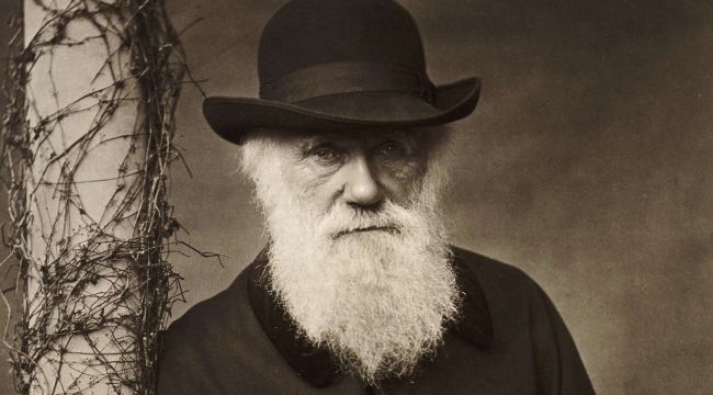 Darwin'in tüm mektupları çevrimiçi erişime açıldı