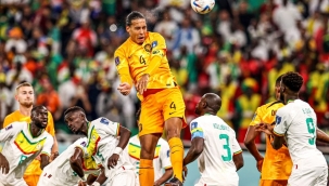 D. Kupası A Grubu: Hollanda Senegal'i 2-0 yendi