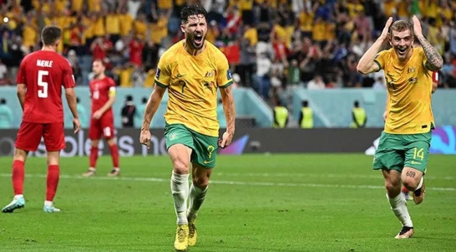 Dünya Kupası D Grubu: Avustralya 1-0 Danimarka
