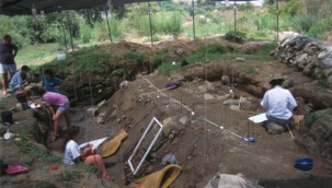 Keşfedilen pişirilmiş en eski yemek: Sazan