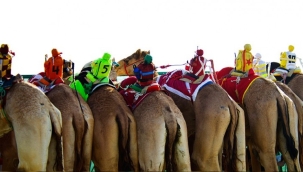 Katar'da robot jokeyli deve yarışı 