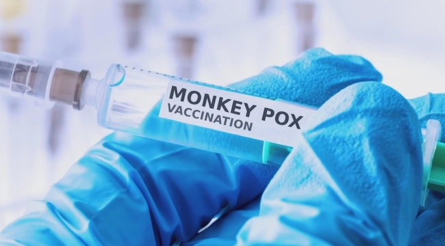 Maymun çiçeği virüsünün adı artık "Mpox" olacak
