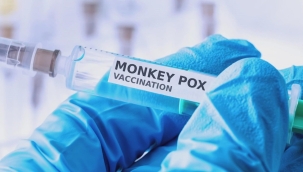 Maymun çiçeği virüsünün adı artık "Mpox" olacak