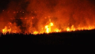 Mersin'deki Göksu Deltası'nda yangın çıktı