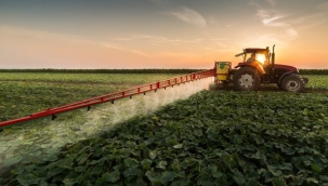 TÜİK'in iddiası: "Tarım ÜFE Ekim'de yıllık %163 arttı"