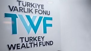 Türkiye Varlık Fonu'nun borçları %45 arttı