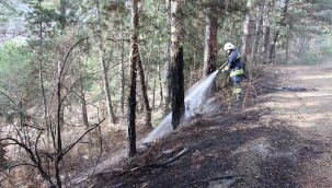 Yedigöller Milli Parkı'nda orman yangını