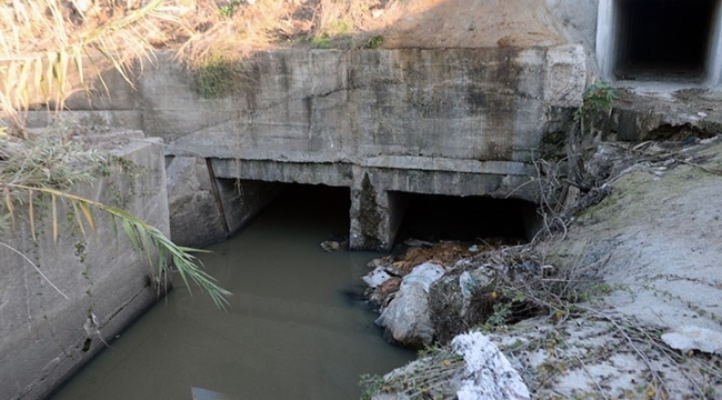 Adana'da, atık su kanalında eşek başları bulundu