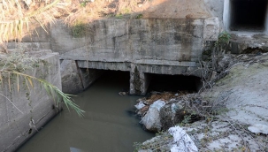 Adana'da, atık su kanalında eşek başları bulundu