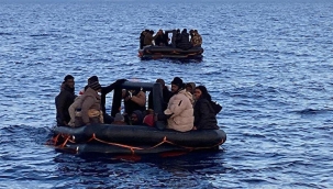 Bodrum'da 124 kaçak kurtarıldı