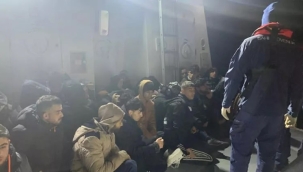 Bodrum'da 35 kaçak yakalandı 