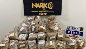 Düzce'de kargo aracında 65 kg esrar ele geçirildi