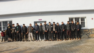 Hatay'da 31 kaçak yakalandı