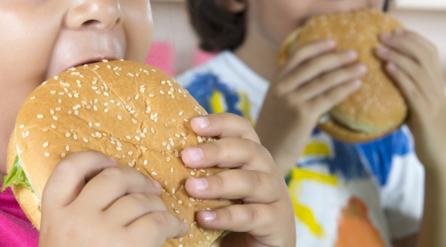 Hollanda'da "obez çocuğa" karşı yasal önlemler