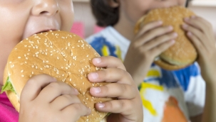 Hollanda'da "obez çocuğa" karşı yasal önlemler