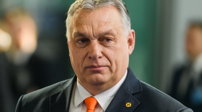 Macaristan Başbakanı Orban: "AP feshedilsin"